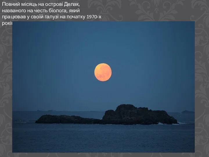 Повний місяць на острові Делак, названого на честь біолога, який