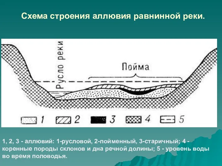Схема строения аллювия равнинной реки. 1, 2, 3 - аллювий: