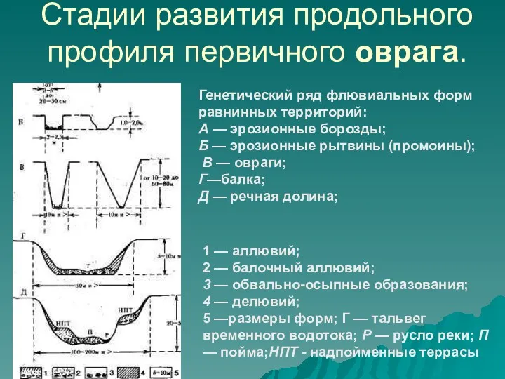 Стадии развития продольного профиля первичного оврага. Генетический ряд флювиальных форм