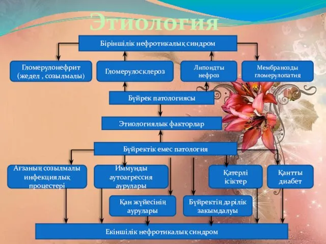 Этиология Біріншілік нефротикалық синдром Гломерулонефрит (жедел , созылмалы) Гломерулосклероз Липоидты