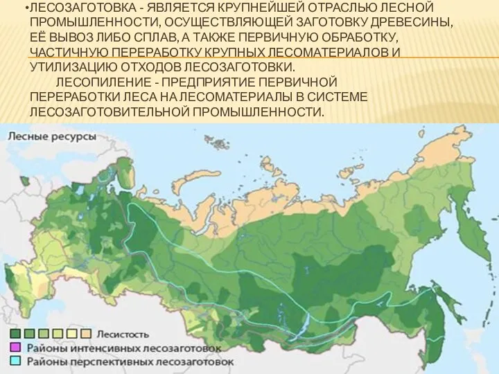 ЛЕСОЗАГОТОВКА - ЯВЛЯЕТСЯ КРУПНЕЙШЕЙ ОТРАСЛЬЮ ЛЕСНОЙ ПРОМЫШЛЕННОСТИ, ОСУЩЕСТВЛЯЮЩЕЙ ЗАГОТОВКУ ДРЕВЕСИНЫ,