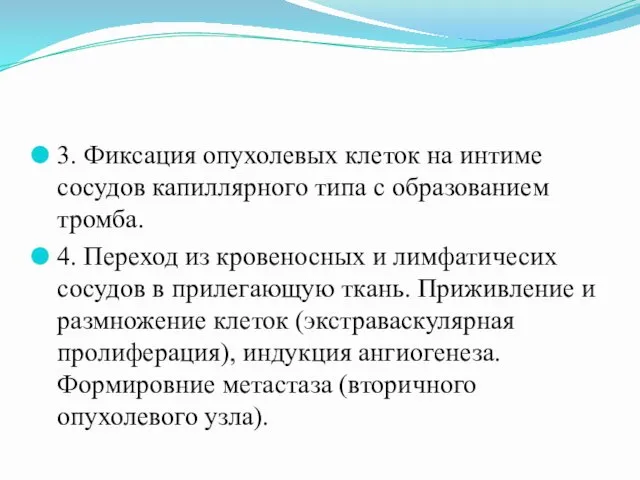 3. Фиксация опухолевых клеток на интиме сосудов капиллярного типа с