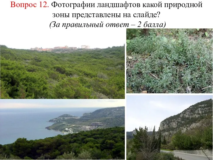 Вопрос 12. Фотографии ландшафтов какой природной зоны представлены на слайде? (За правильный ответ – 2 балла)