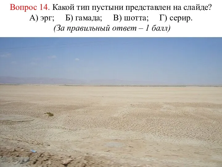 Вопрос 14. Какой тип пустыни представлен на слайде? А) эрг; Б) гамада; В)