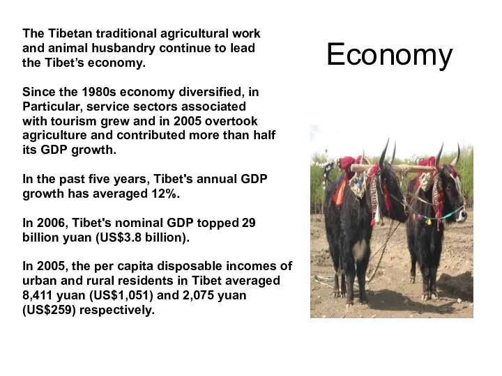 The Tibetan traditional agricultural work and animal husbandry continue to