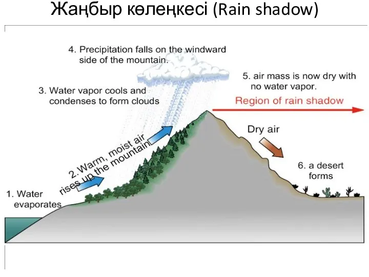 Жаңбыр көлеңкесі (Rain shadow)