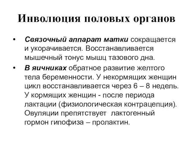 Инволюция половых органов Связочный аппарат матки сокращается и укорачивается. Восстанавливается