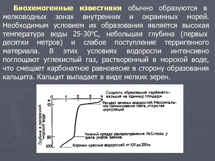 Биохемогенные известняки обычно образуются в мелководных зонах внутренних и окраинных