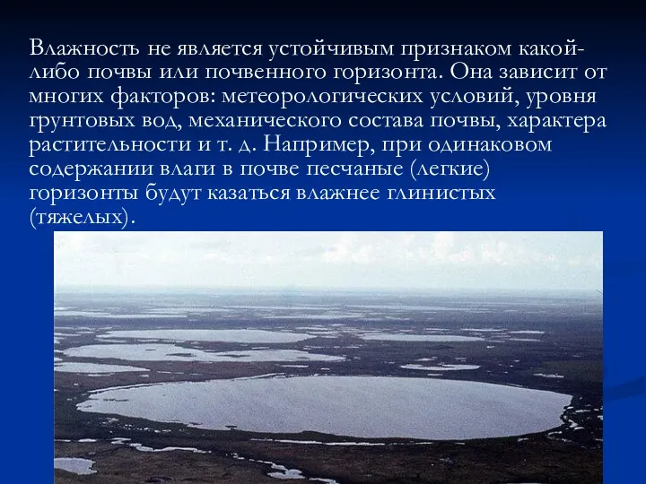 Влажность не является устойчивым признаком какой-либо почвы или почвенного горизонта.