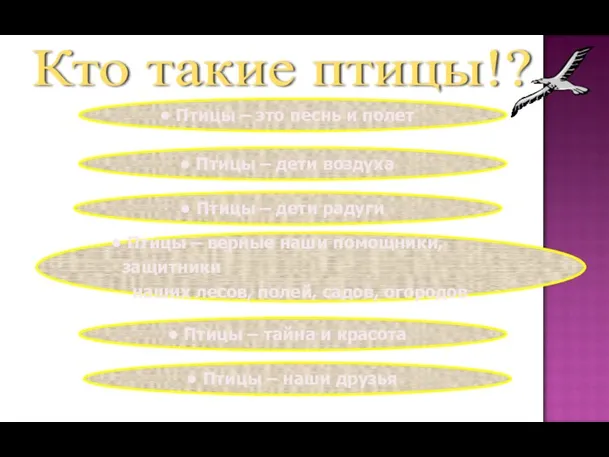 Кто такие птицы!? Птицы – это песнь и полет Птицы