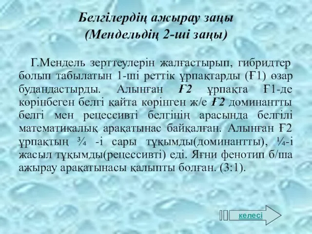 Белгілердің ажырау заңы (Мендельдің 2-ші заңы) Г.Мендель зерттеулерін жалғастырып, гибридтер