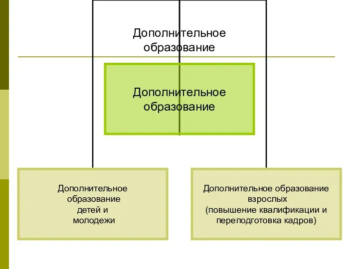 Дополнительное образование