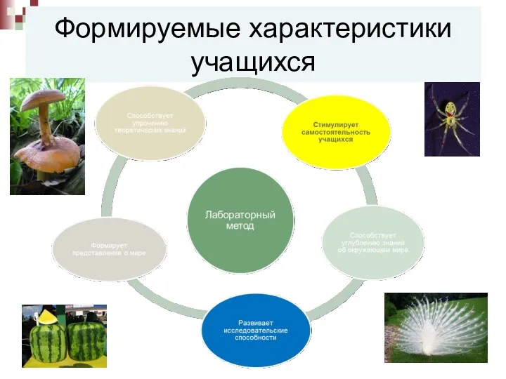 Формируемые характеристики учащихся