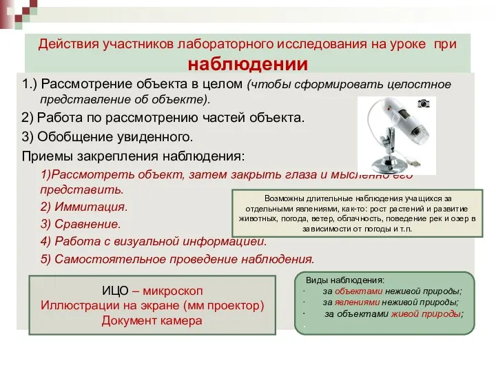 Действия участников лабораторного исследования на уроке при наблюдении 1.) Рассмотрение