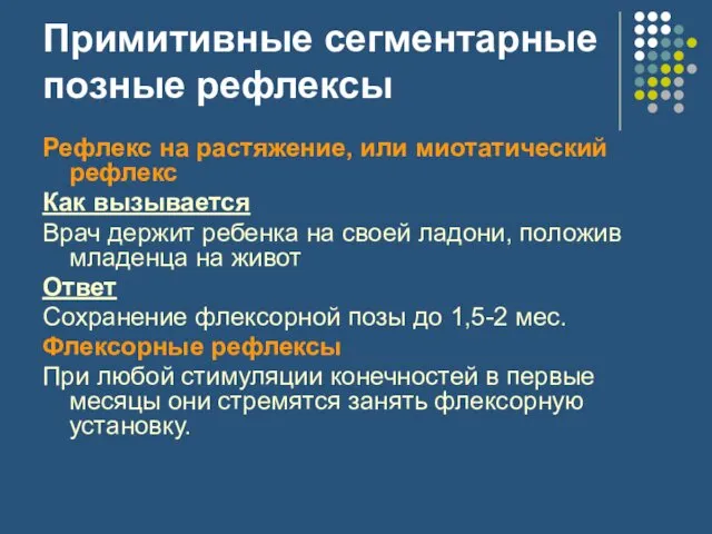 Примитивные сегментарные позные рефлексы Рефлекс на растяжение, или миотатический рефлекс