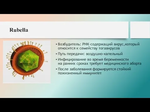 Rubella Возбудитель: РНК-содержащий вирус,который относится к семейству тогавирусов Путь передачи: воздушно-капельный Инфицирование во