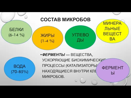 СОСТАВ МИКРОБОВ ФЕРМЕНТЫ — ВЕЩЕСТВА, УСКОРЯЮЩИЕ БИОХИМИЧЕСКИЕ ПРОЦЕС­СЫ (КАТАЛИЗАТОРЫ) И