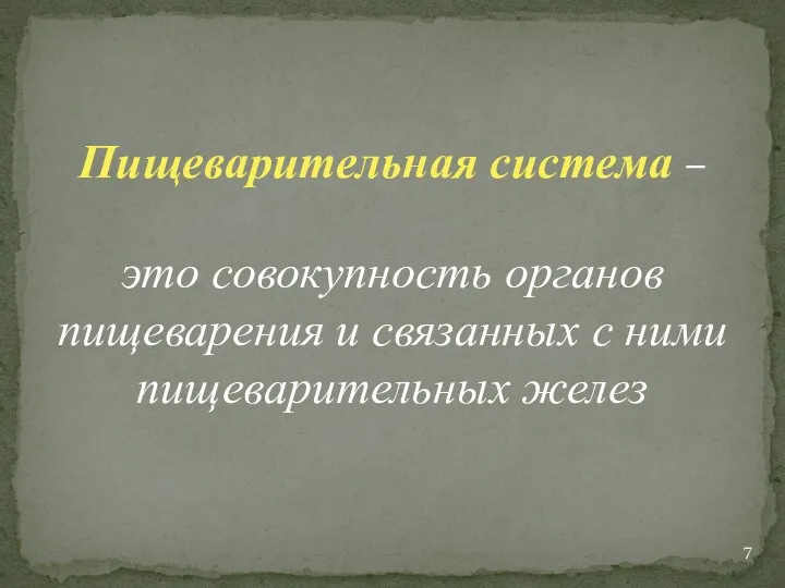 Пищеварительная система – это совокупность органов пищеварения и связанных с ними пищеварительных желез