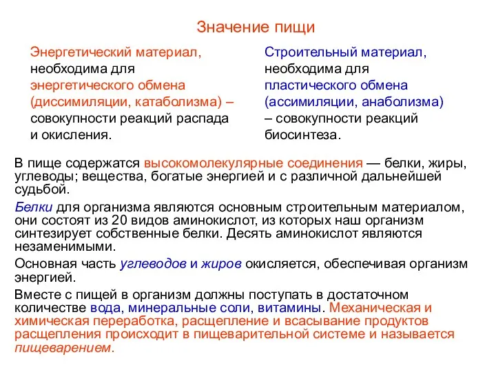 В пище содержатся высокомолекулярные соединения — белки, жиры, углеводы; вещества, богатые энергией и