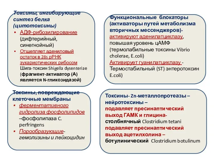 Токсины, ингибирующие синтез белка (цитотоксины) АДФ-рибозилирование (дифтерийный, синегнойный) Отщепляет адениловый