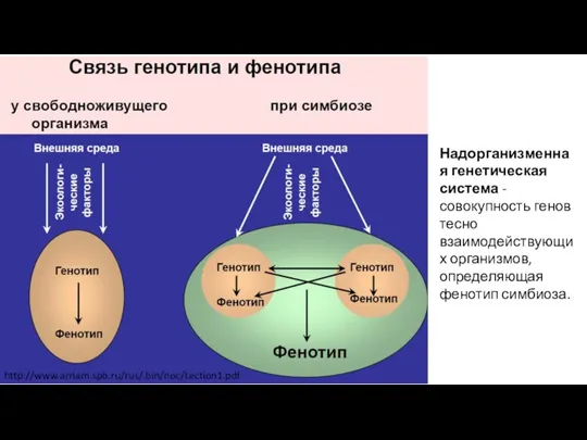 http://www.arriam.spb.ru/rus/.bin/noc/Lection1.pdf Надорганизменная генетическая система - совокупность генов тесно взаимодействующих организмов, определяющая фенотип симбиоза.