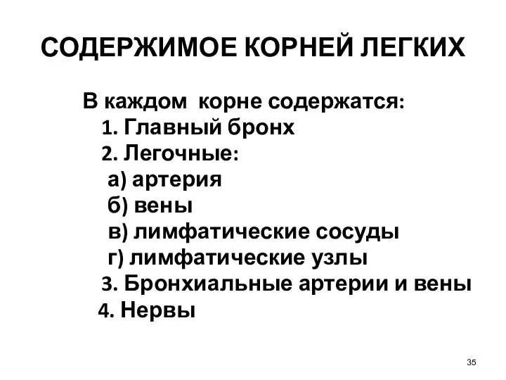 СОДЕРЖИМОЕ КОРНЕЙ ЛЕГКИХ В каждом корне содержатся: 1. Главный бронх