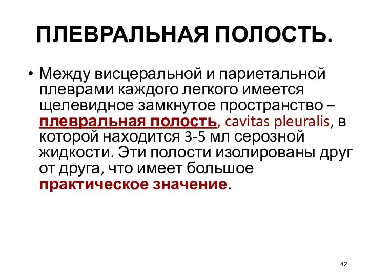 ПЛЕВРАЛЬНАЯ ПОЛОСТЬ. Между висцеральной и париетальной плеврами каждого легкого имеется