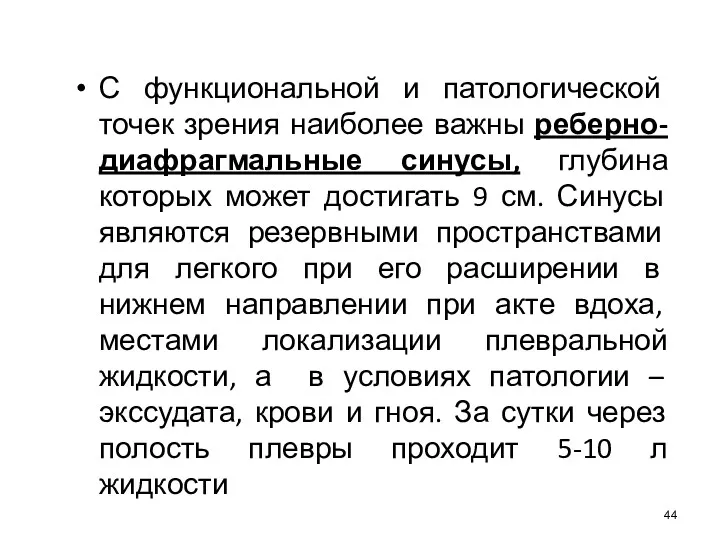 С функциональной и патологической точек зрения наиболее важны реберно-диафрагмальные синусы,