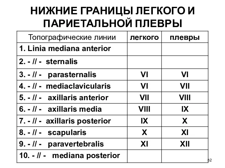 НИЖНИЕ ГРАНИЦЫ ЛЕГКОГО И ПАРИЕТАЛЬНОЙ ПЛЕВРЫ