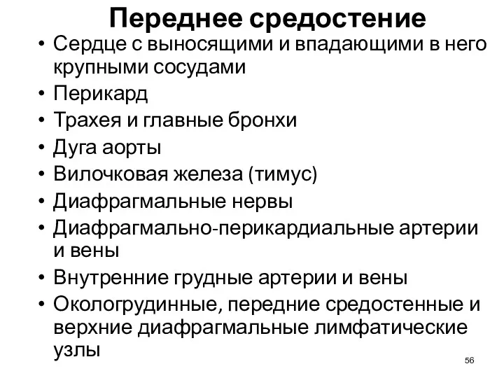 Переднее средостение Сердце с выносящими и впадающими в него крупными