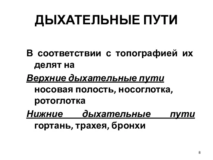 ДЫХАТЕЛЬНЫЕ ПУТИ В соответствии с топографией их делят на Верхние