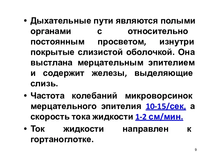 Дыхательные пути являются полыми органами с относительно постоянным просветом, изнутри