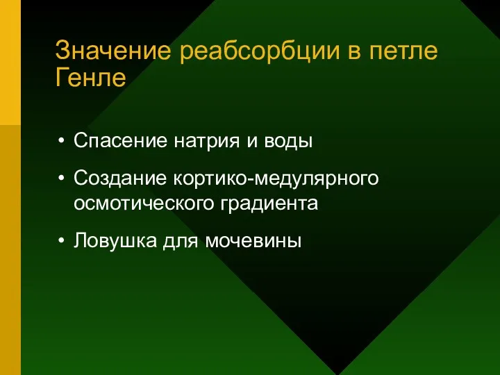 Значение реабсорбции в петле Генле Спасение натрия и воды Создание кортико-медулярного осмотического градиента Ловушка для мочевины