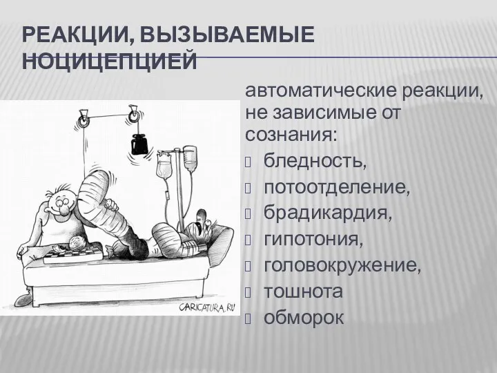 РЕАКЦИИ, ВЫЗЫВАЕМЫЕ НОЦИЦЕПЦИЕЙ автоматические реакции, не зависимые от сознания: бледность, потоотделение, брадикардия, гипотония, головокружение, тошнота обморок