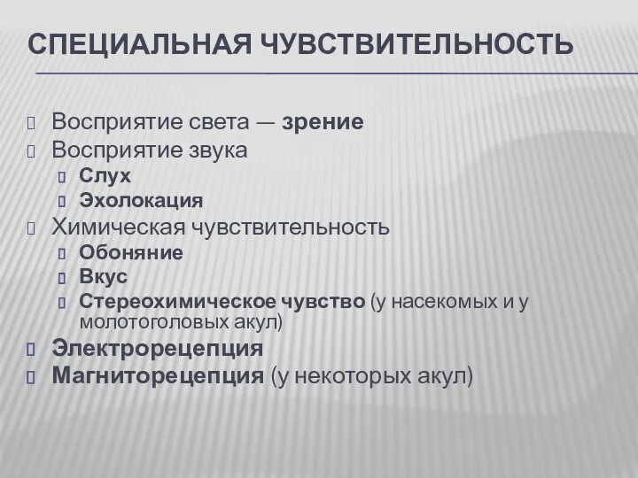 СПЕЦИАЛЬНАЯ ЧУВСТВИТЕЛЬНОСТЬ Восприятие света — зрение Восприятие звука Слух Эхолокация