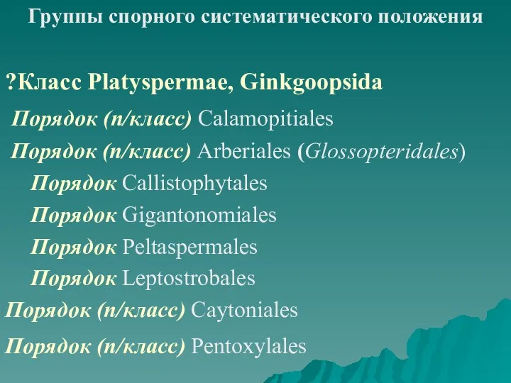 Группы спорного систематического положения ?Класс Platyspermae, Ginkgoopsida Порядок (п/класс) Calamopitiales