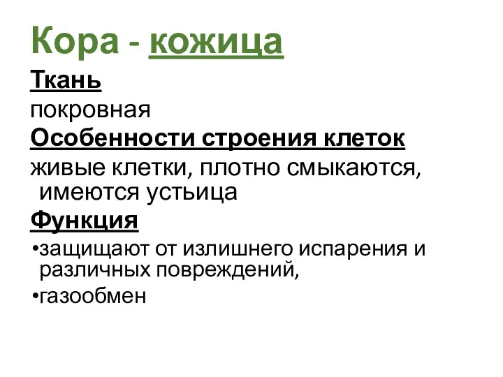 Ткань покровная Особенности строения клеток живые клетки, плотно смыкаются, имеются