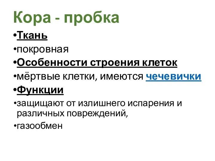 Ткань покровная Особенности строения клеток мёртвые клетки, имеются чечевички Функции