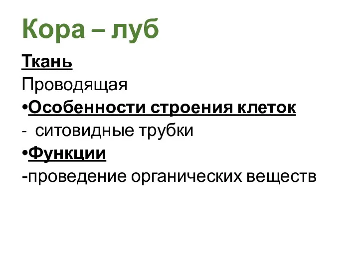 Ткань Проводящая Особенности строения клеток - ситовидные трубки Функции проведение органических веществ Кора – луб