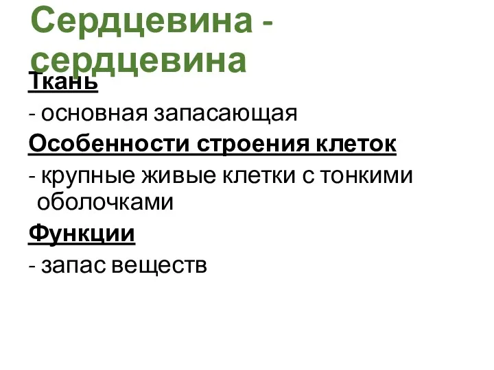 Ткань - основная запасающая Особенности строения клеток - крупные живые