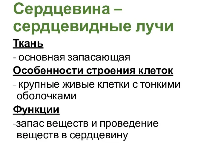 Ткань - основная запасающая Особенности строения клеток - крупные живые