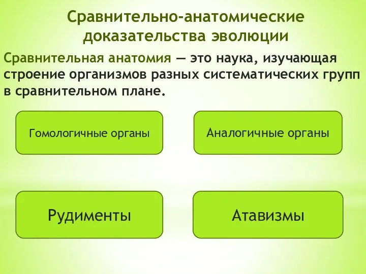 Сравнительно-анатомические доказательства эволюции Сравнительная анатомия — это наука, изучающая строение