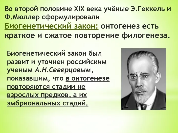 Во второй половине XIX века учёные Э.Геккель и Ф.Мюллер сформулировали