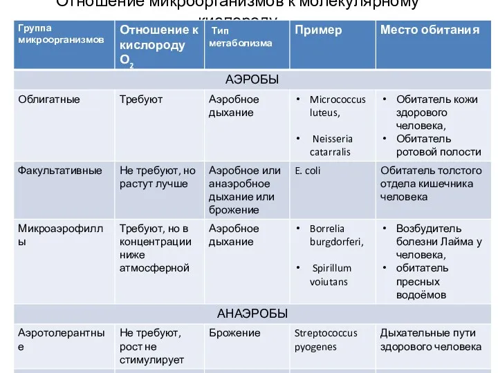 Отношение микроорганизмов к молекулярному кислороду