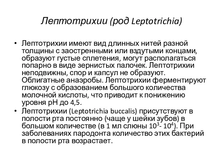 Лептотрихии (род Leptotrichia) Лептотрихии имеют вид длинных нитей разной толщины