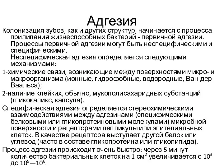 Адгезия Колонизация зубов, как и других структур, начинается с процесса