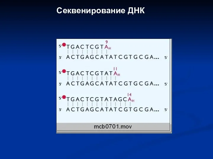 Секвенирование ДНК