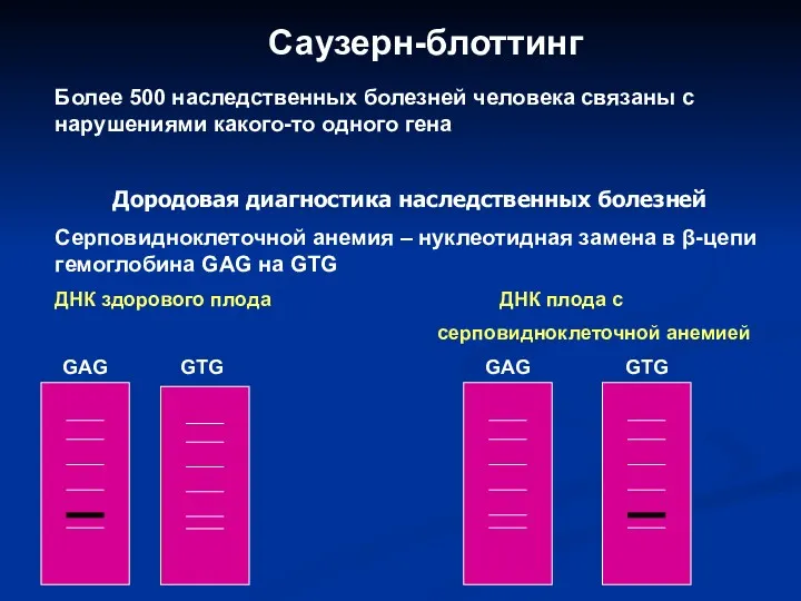 Саузерн-блоттинг Более 500 наследственных болезней человека связаны с нарушениями какого-то