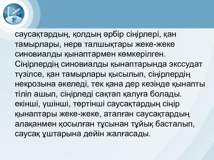 саусақтардың, қолдың әрбір сіңірлері, қан тамырлары, нерв талшықтары жеке-жеке синовиалды