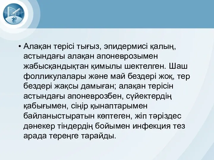 Алақан терісі тығыз, эпидермисі қалың, астындағы алақан апоневрозымен жабысқандықтан қимылы